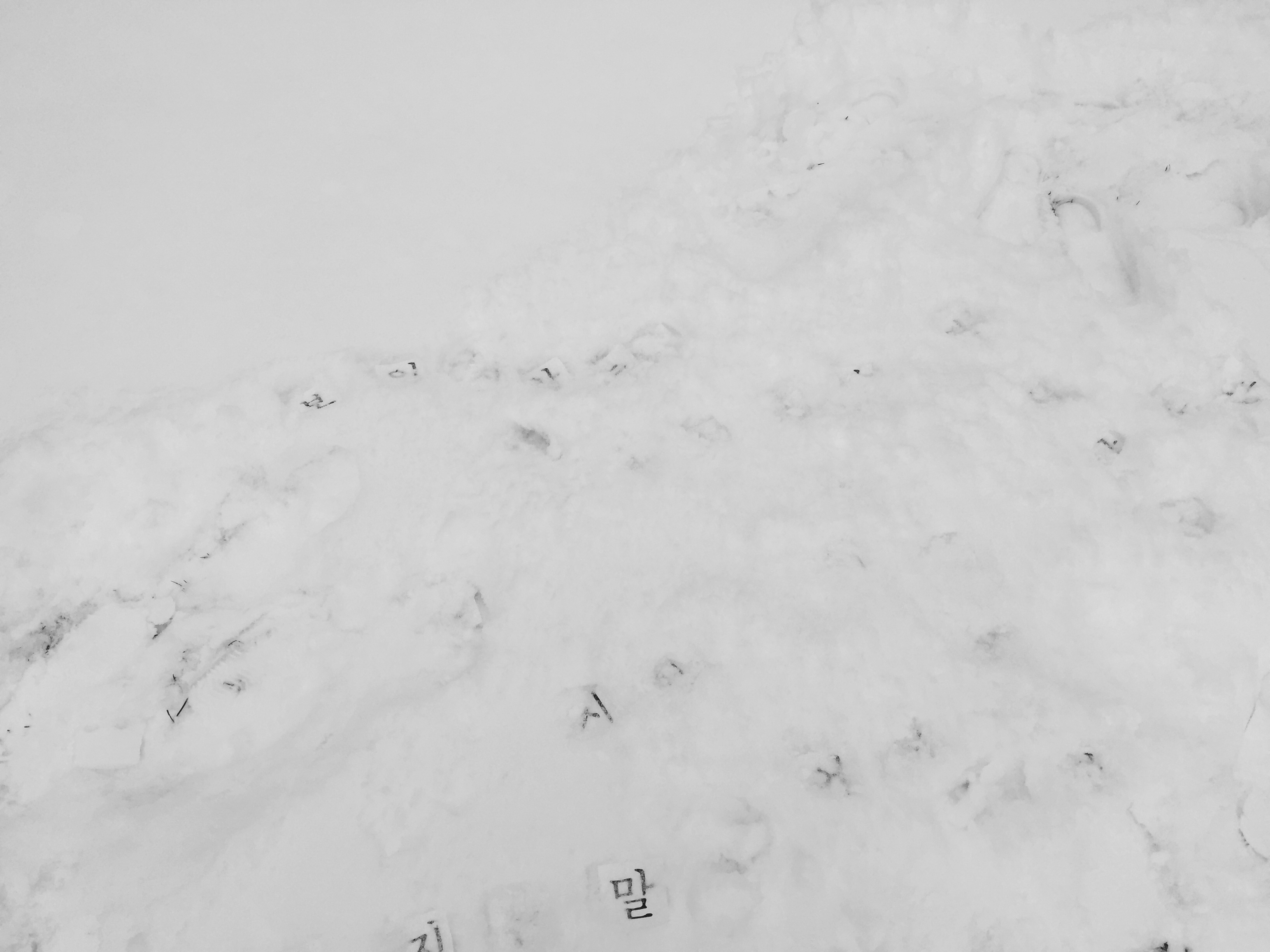 58C8D555-48CE-468F-95F2-FA73EA917823