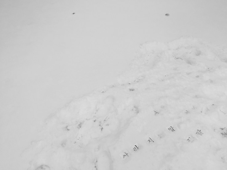 8D53D93C-1F76-4A8D-AA91-CF2AD1E4DB4E